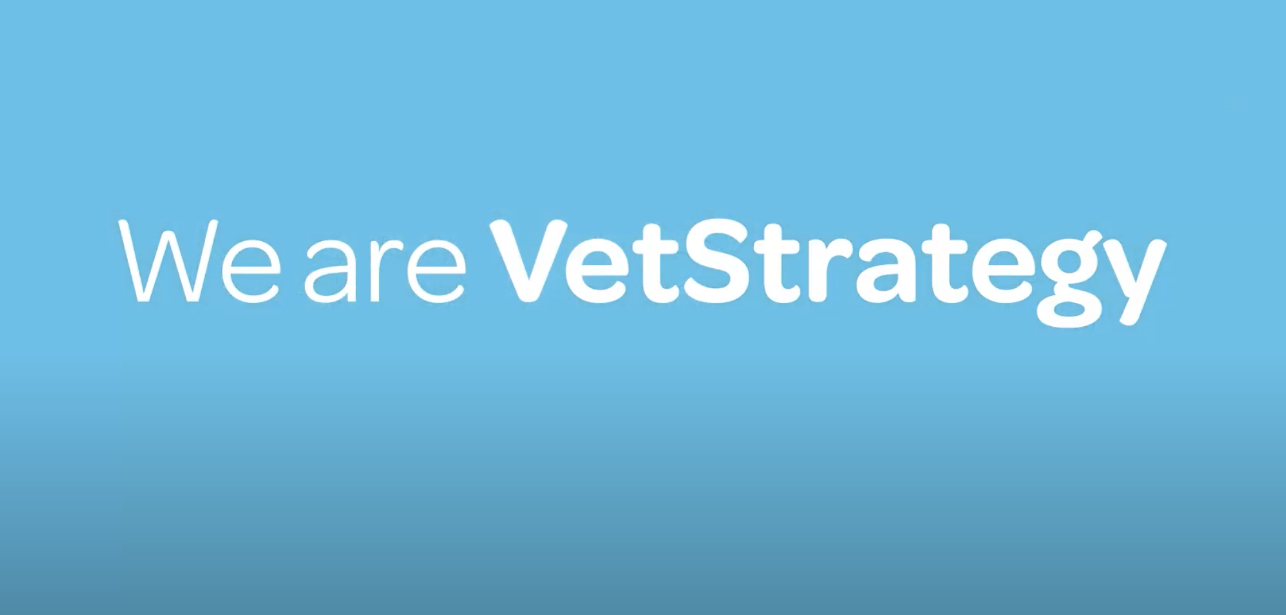 Video cover image to introduce VetStrategy brand