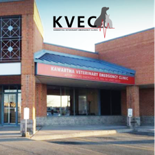 Clinic building