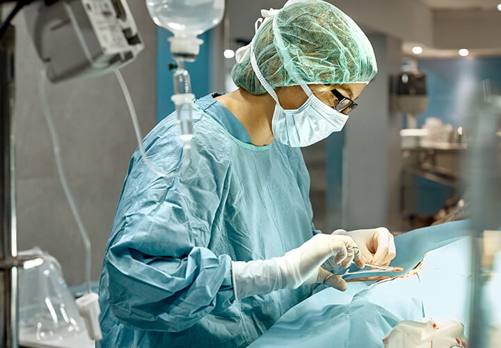 Vet performing an operation