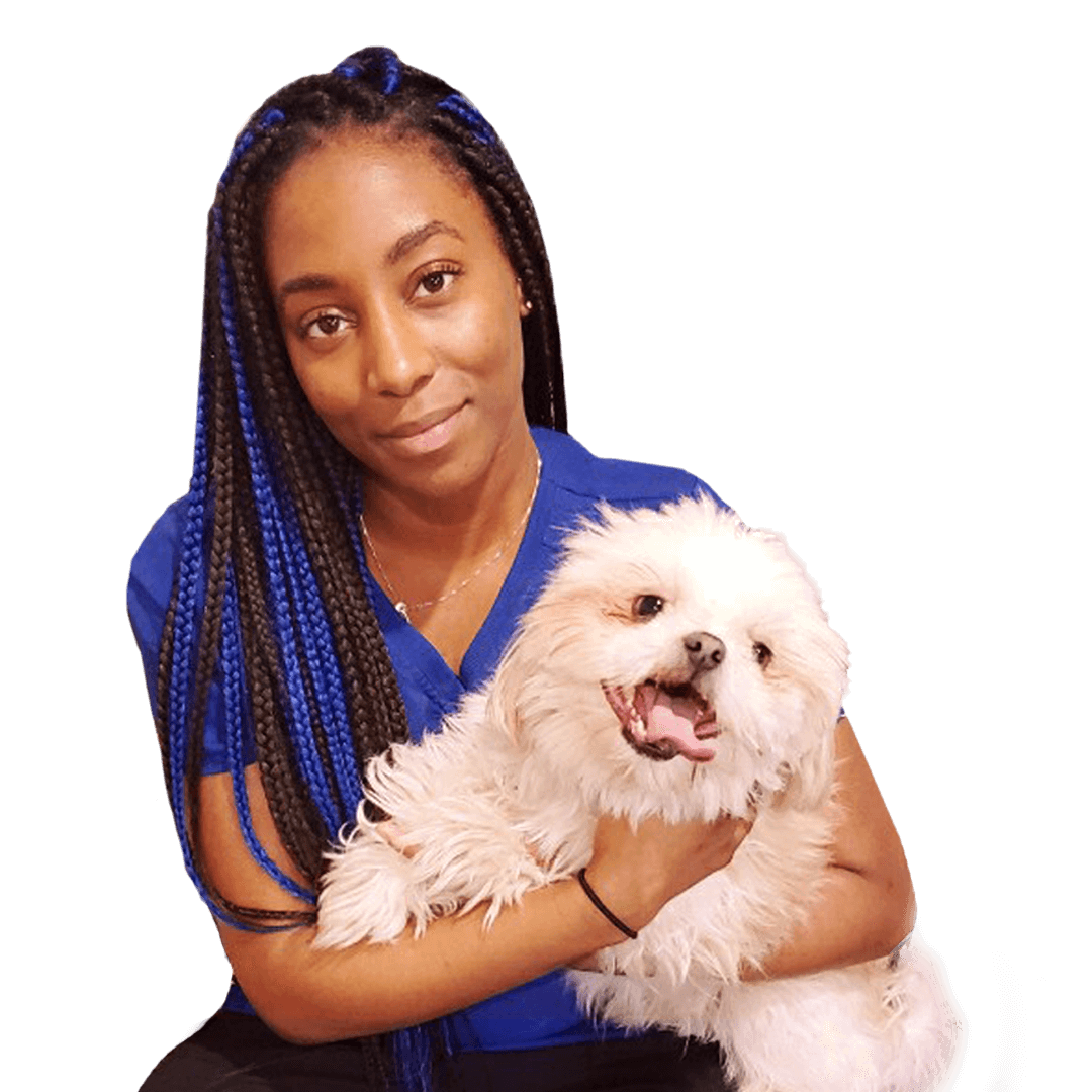 Woman holding dog