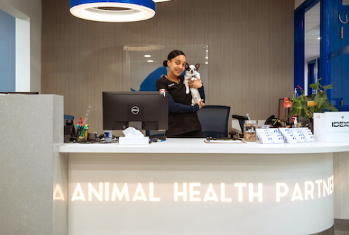Woman holding dog at front desk of veterinarian clinic