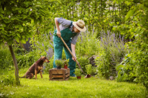 Mental Health Week 2023: Sowing the seeds for Mental Health Awareness ...