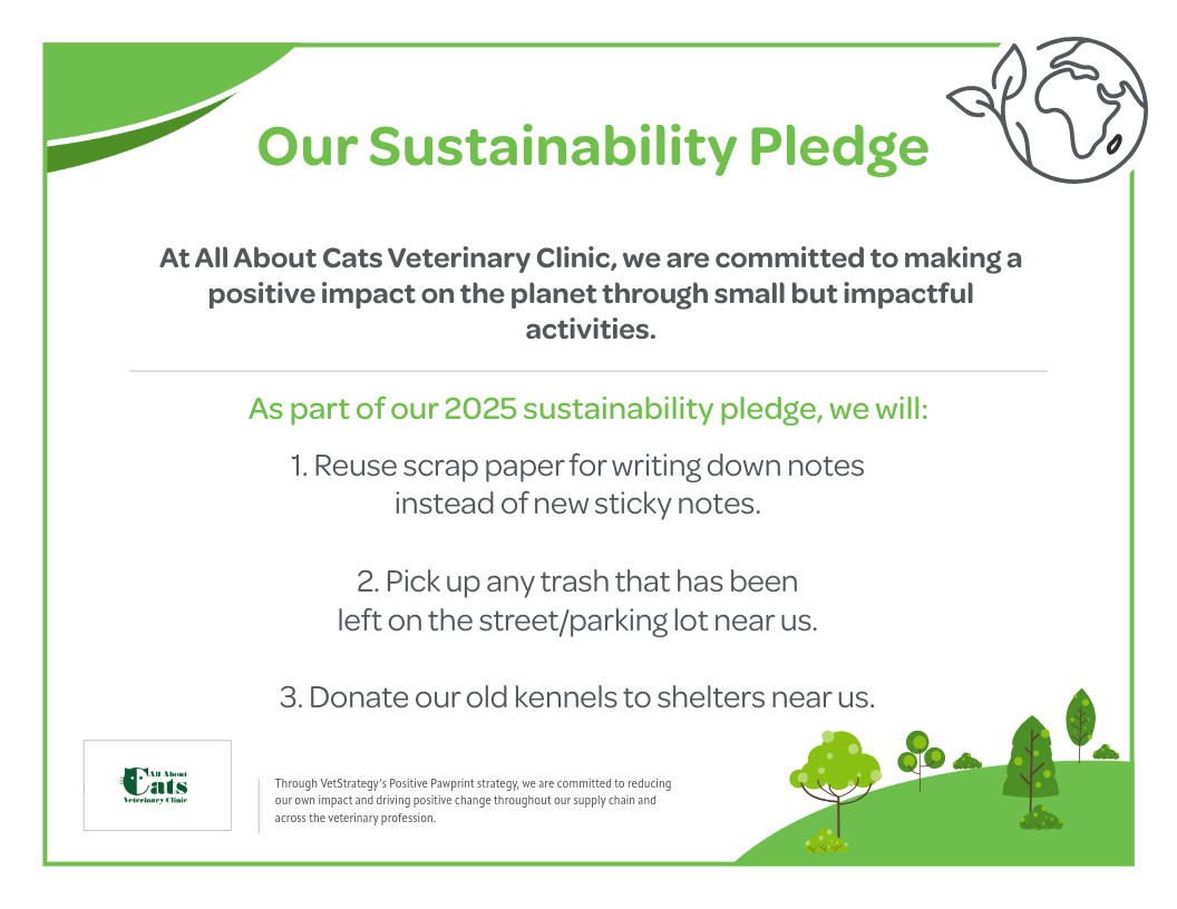 Earth Day Campaign - Certificate - All About Cats Veterinary Clinic