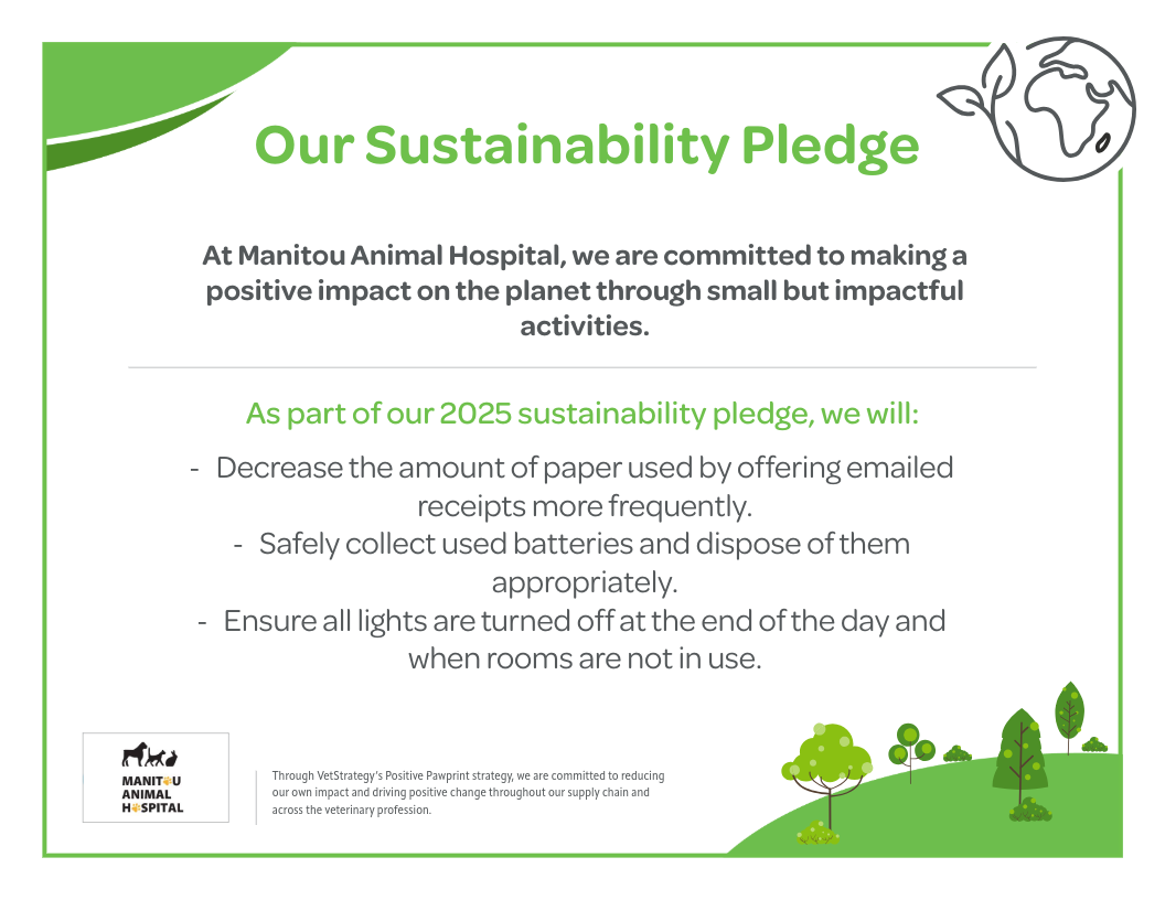 Earth Day Campaign - Certificate - Manitou Animal Hospital