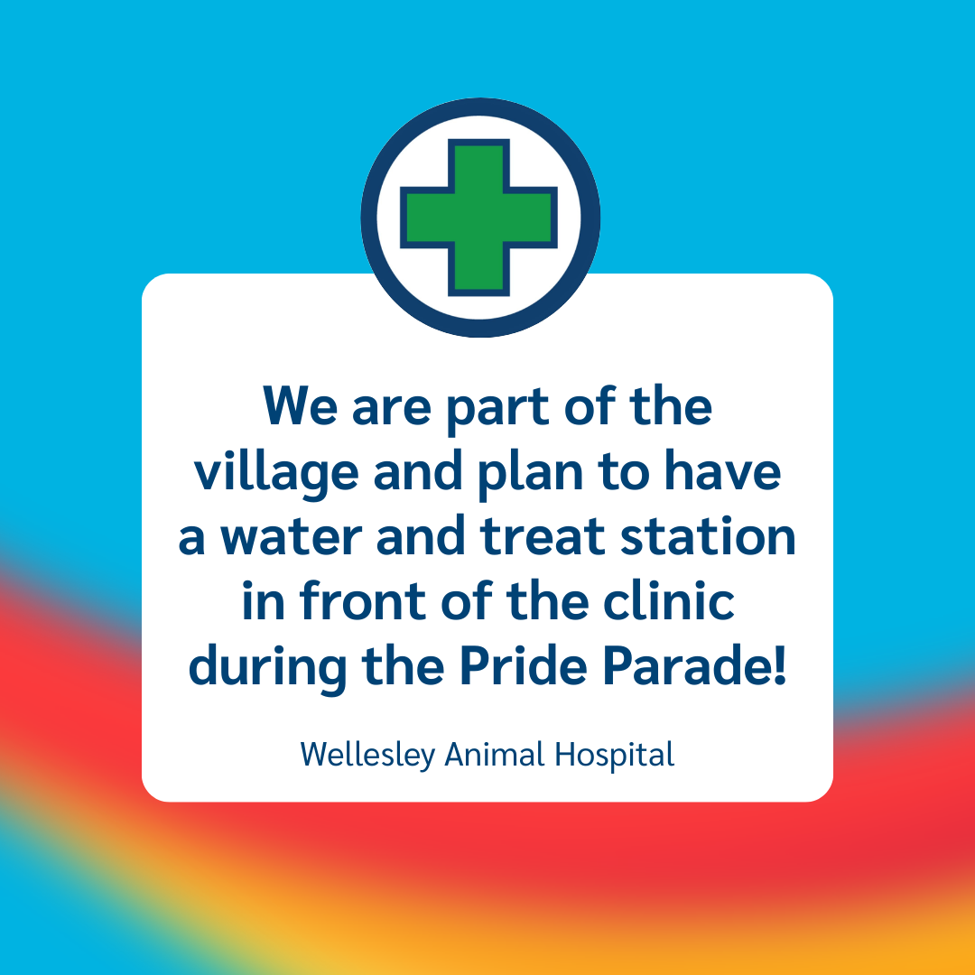 2 Wellesley Animal Hospital