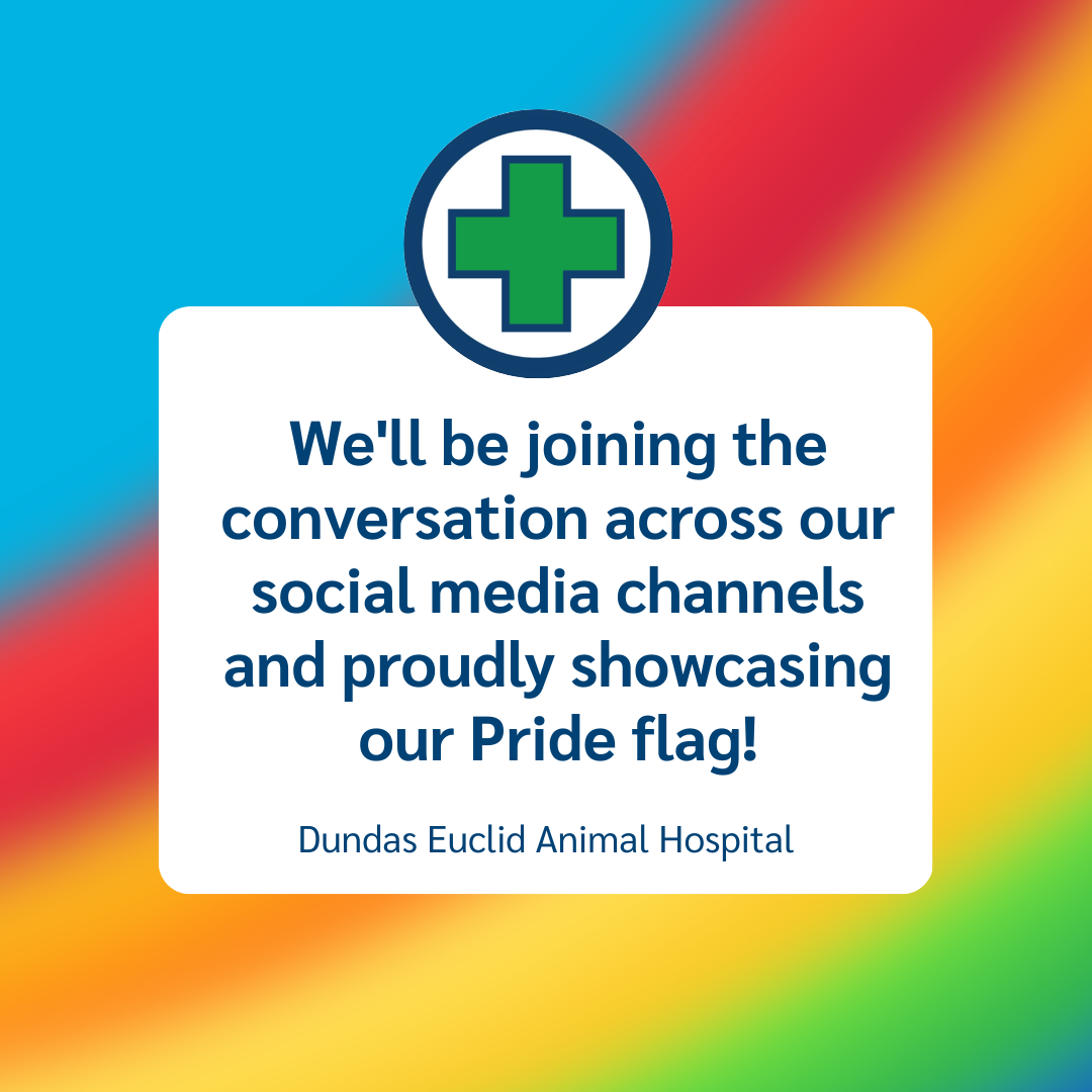 3 Dundas Euclid Animal Hospital