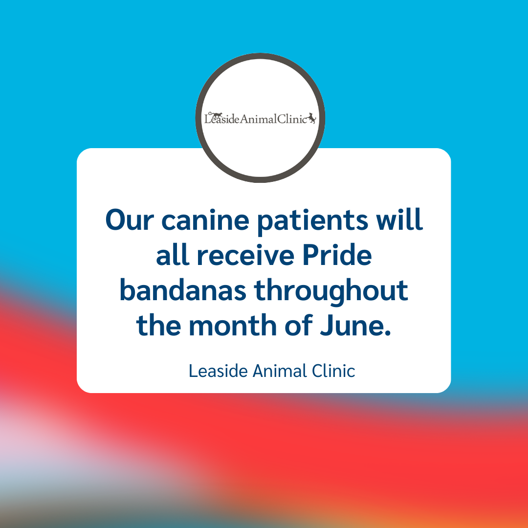 6 Leaside Animal Clinic