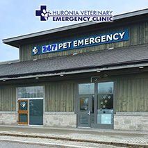 Huronia Emergency Veterinary Clinic