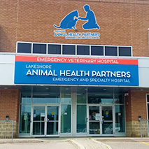 Lakeshore Animal Health Partners