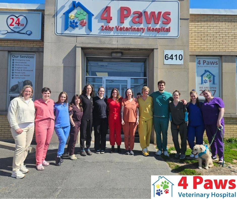 4 Paws - Logo