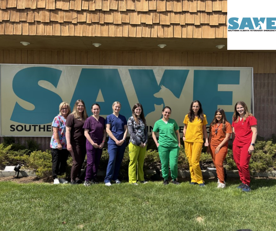 SAVE - Logo